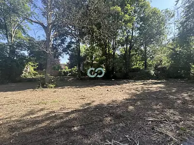 Terrain, 2 636 m²