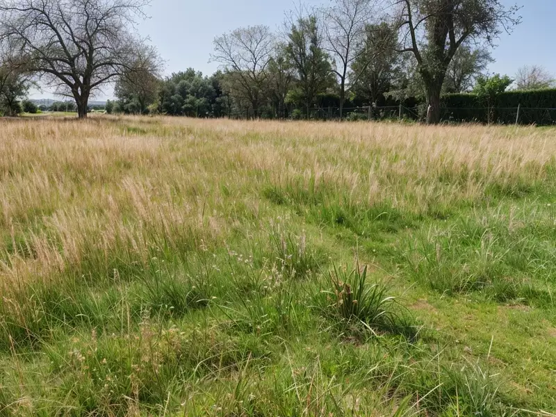 Terrain, 1 500 m²
