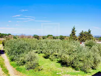 Maison, 230 m²
