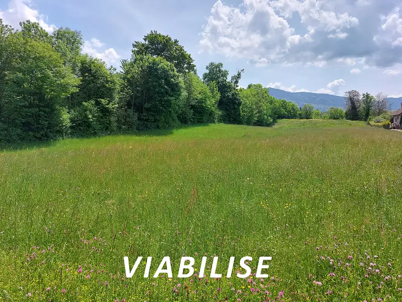 Terrain, 597 m²