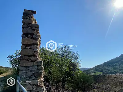 Terrain, 1 319 m²