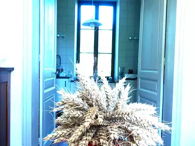 Maison, 210 m²