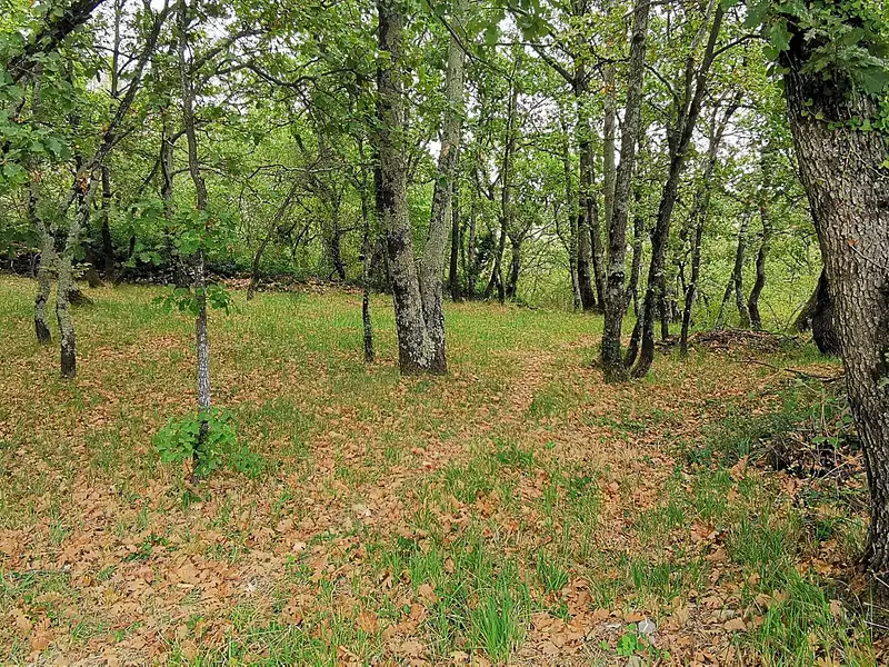 Terrain, 587 m²