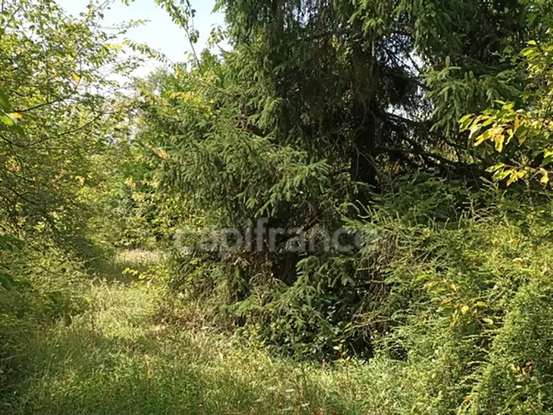 Terrain, 836 m²