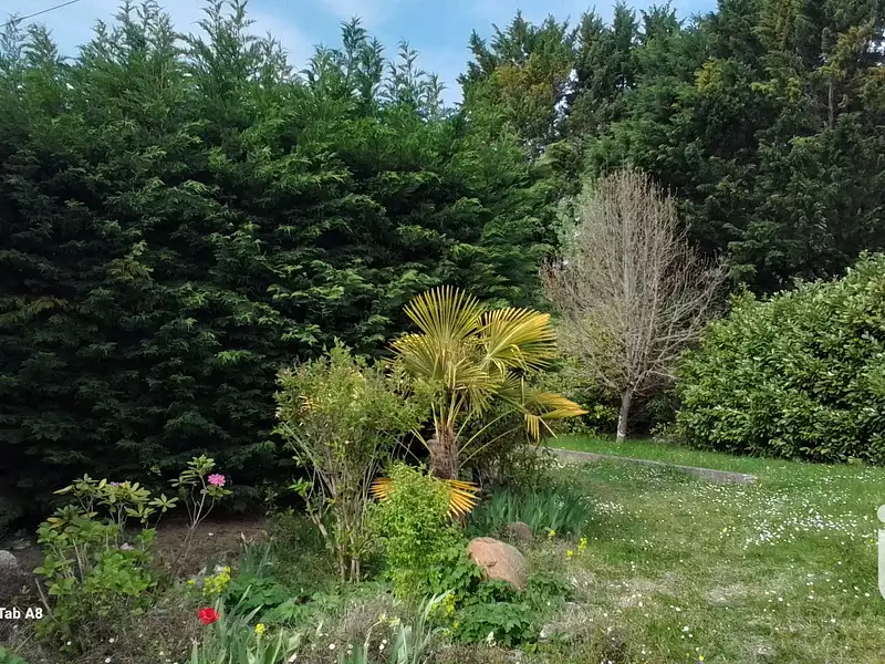 Maison, 55 m²