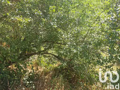 Terrain, 5 620 m²