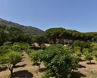 Maison, 235 m²