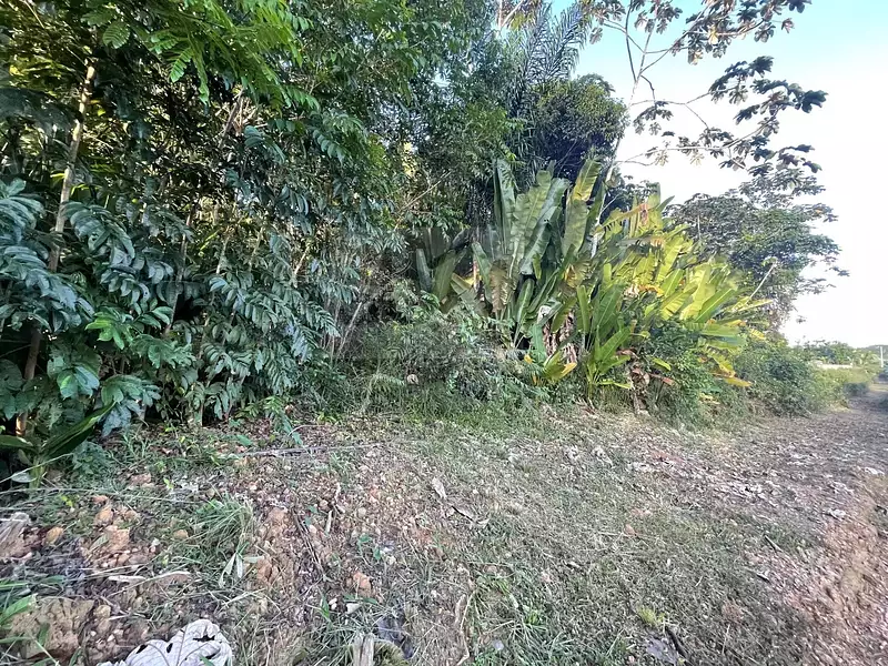 Terrain, 5 148 m²