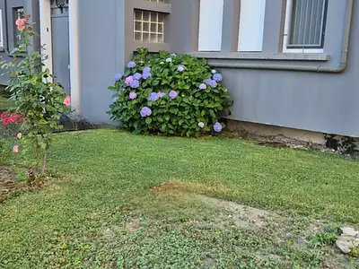 Appartement, 106 m²