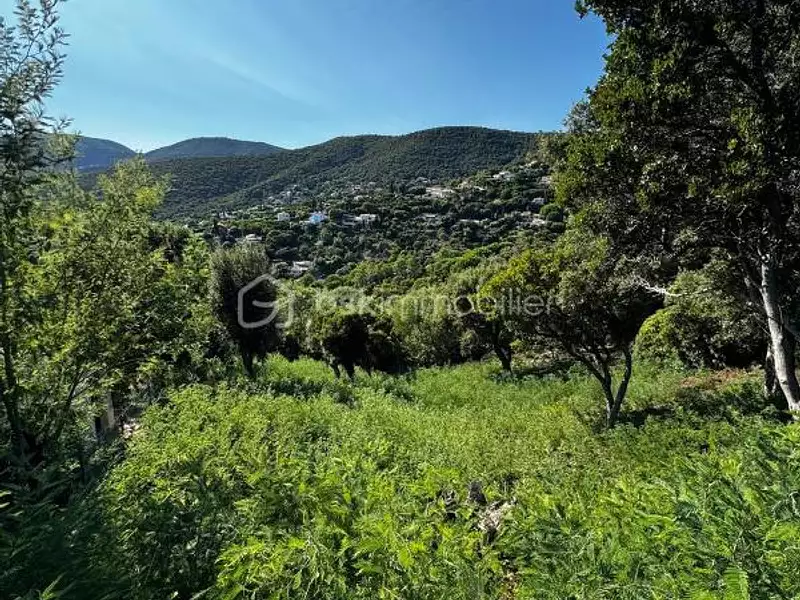 Terrain, 1 198 m²