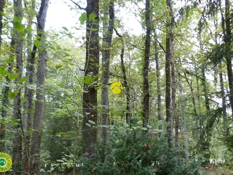 Terrain, 3 783 m²