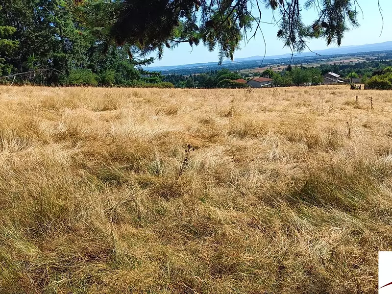 Terrain, 1 590 m²