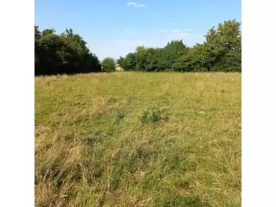 Terrain, 1 211 m²