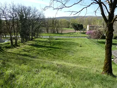 Terrain