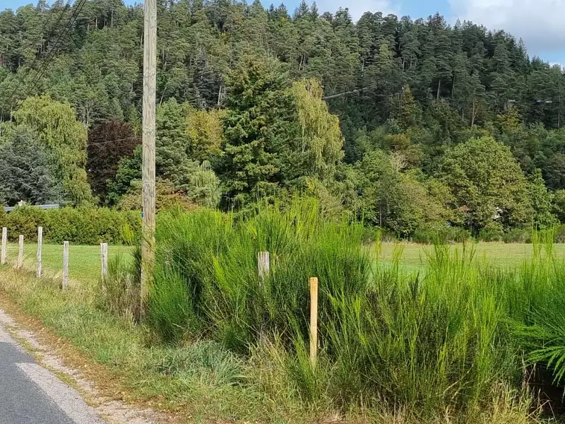 Terrain, 9 021 m²