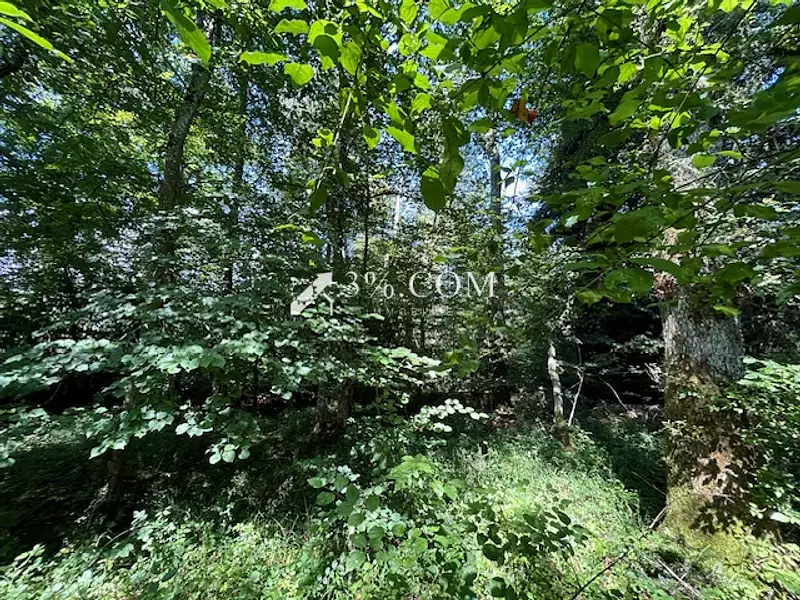 Terrain, 11 407 m²
