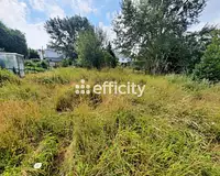 Terrain, 1 245 m²