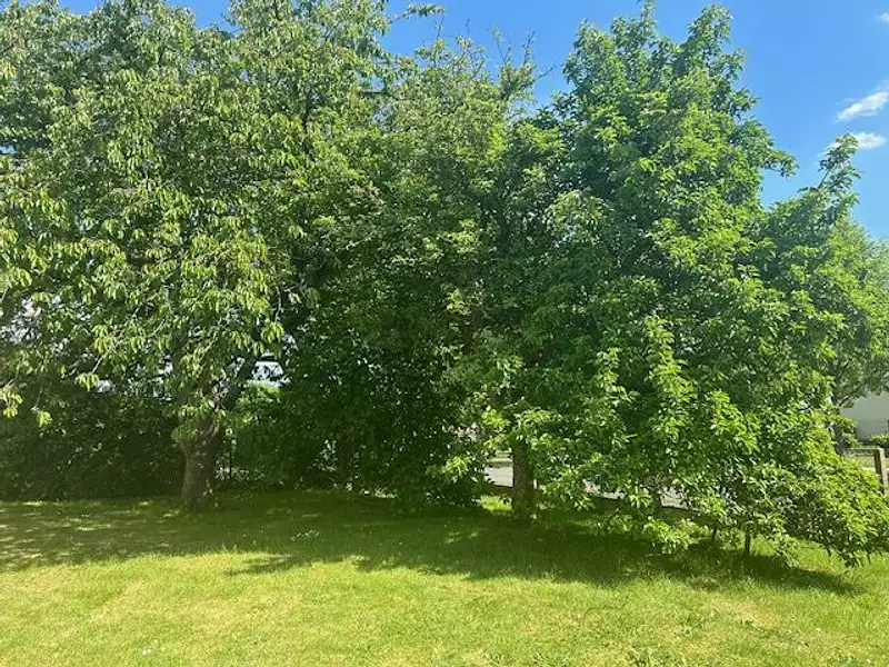 Maison, 91,72 m²