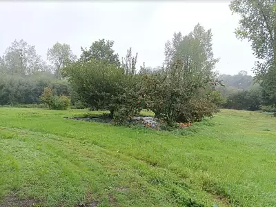 Maison, 79 m²