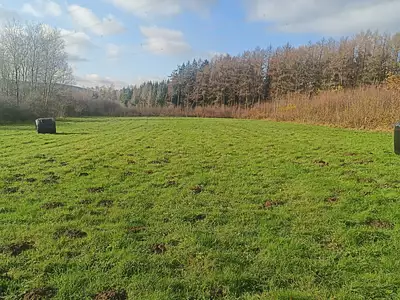 Terrain, 6 205 m²