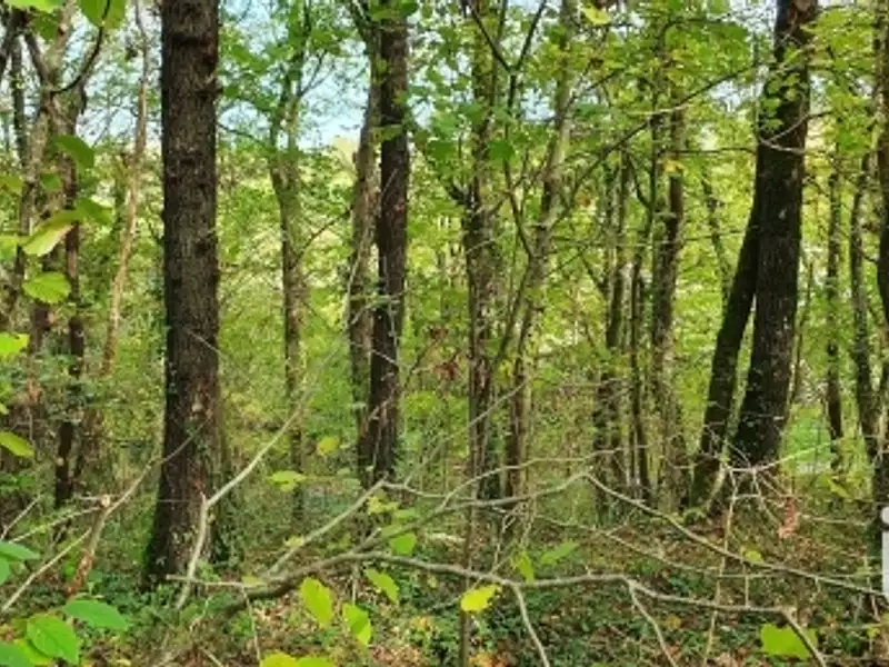 Terrain, 606 m²