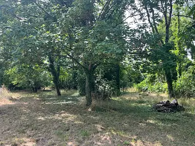 Terrain, 1 650 m²