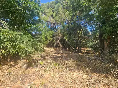 Terrain, 950 m²
