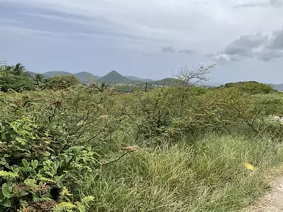Terrain, 513 m²