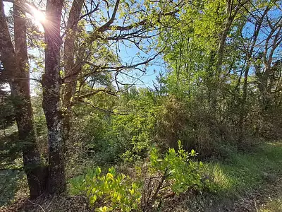 Terrain, 7 614 m²
