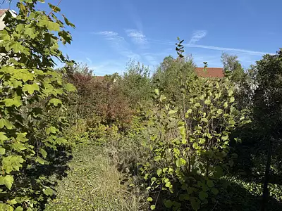 Terrain, 726 m²