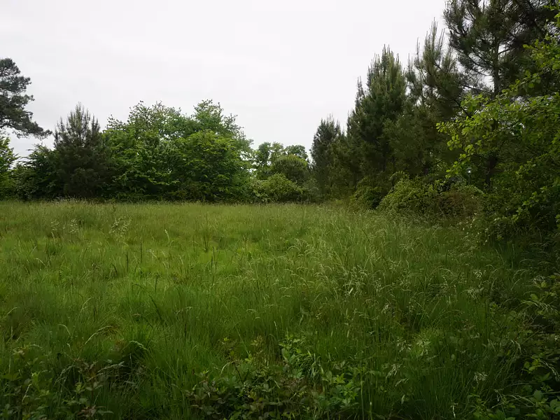 Terrain, 2 604 m²
