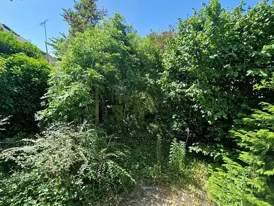 Maison, 80 m²