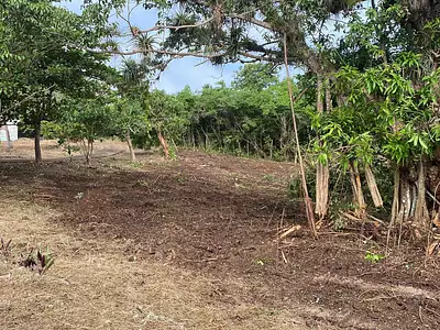 Terrain, 1 000 m²