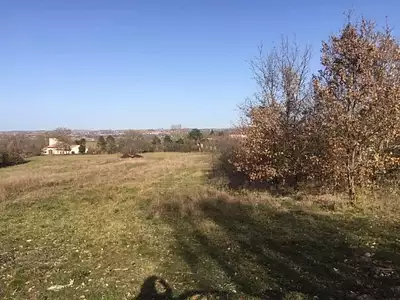 Terrain