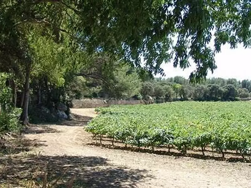 Terrain, 1 500 000 m²