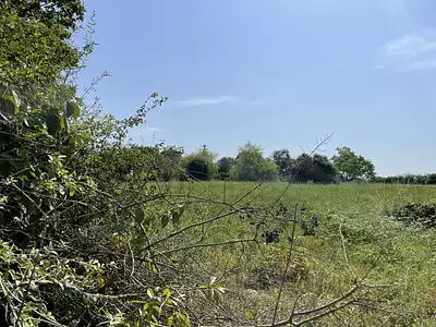Terrain, 5 281 m²