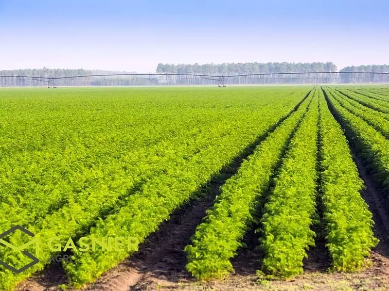 Divers, 1 400 000 m²