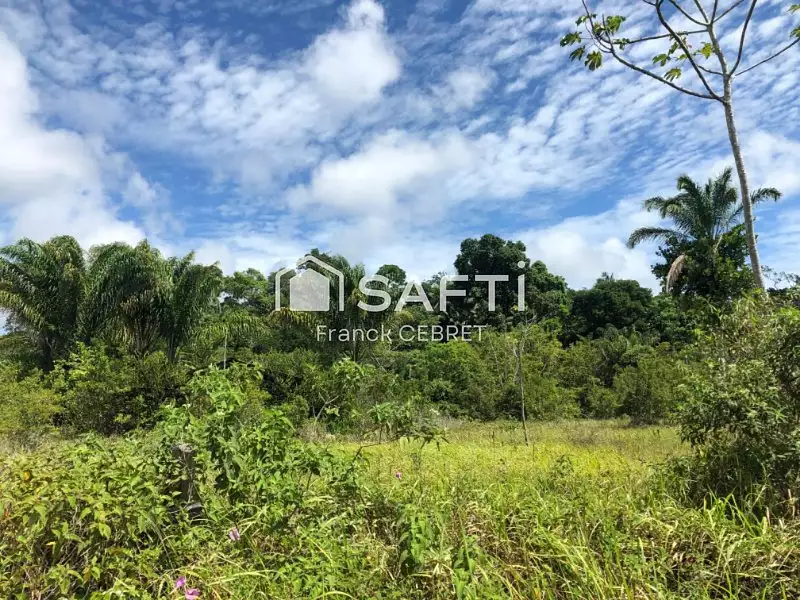 Terrain, 22 375 m²