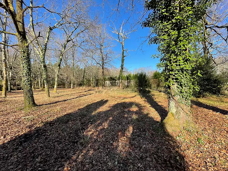 Maison, 150 m²