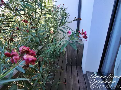 Maison, 215 m²