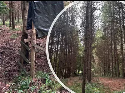 Terrain, 850 000 m²