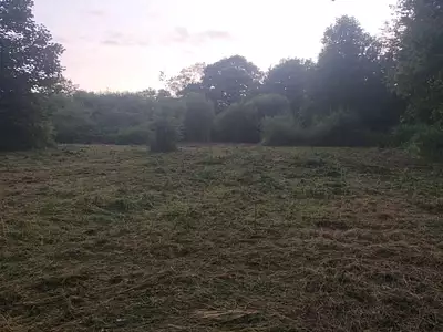Terrain, 781 m²