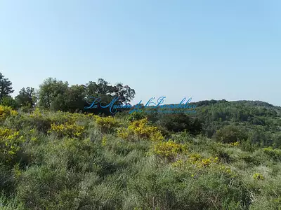 Terrain, 3 328 m²