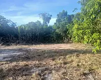 Terrain, 10 004 m²