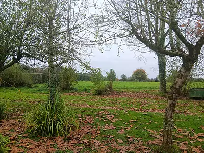 Terrain, 905 m²