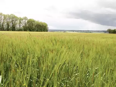 Terrain, 640 000 m²