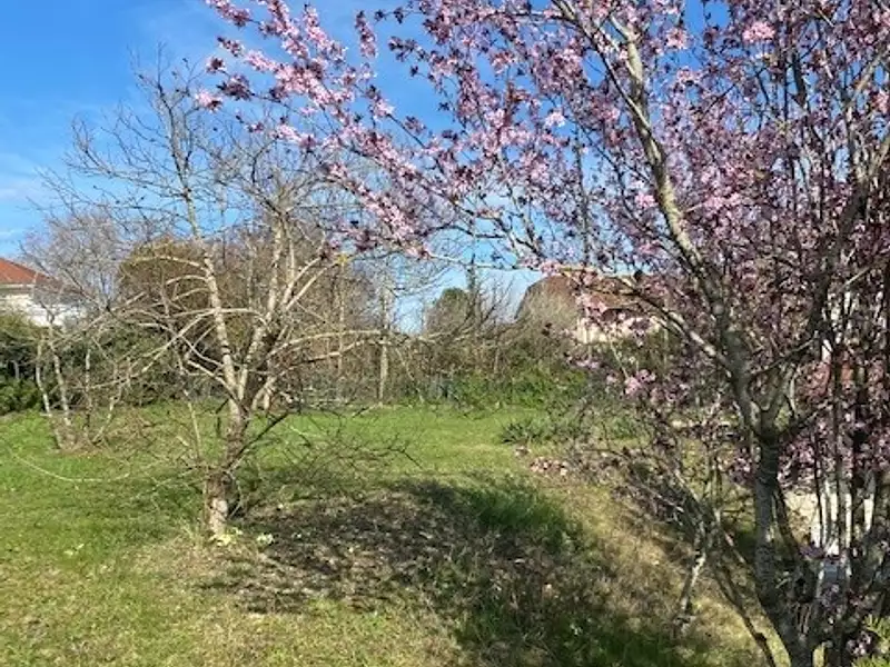 Terrain, 1 999 m²