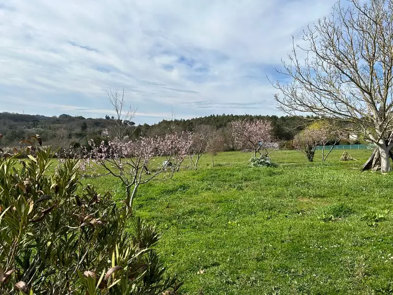 Terrain, 964 m²
