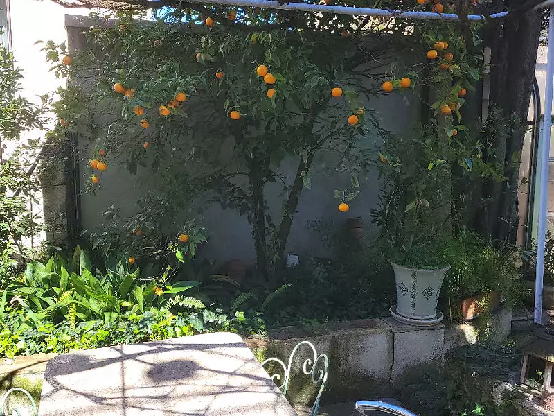 Maison, 195 m²