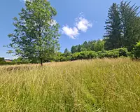 Terrain, 941 m²